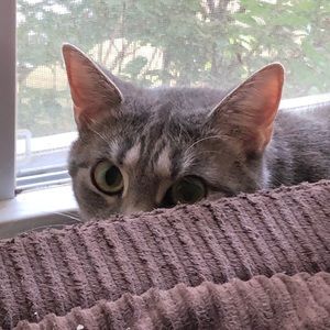 Meet your Posher, Pamela